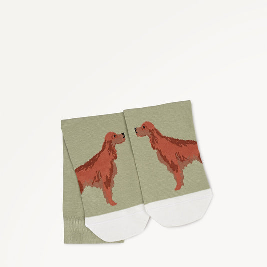Radley London Hosta 1 Pack Socks