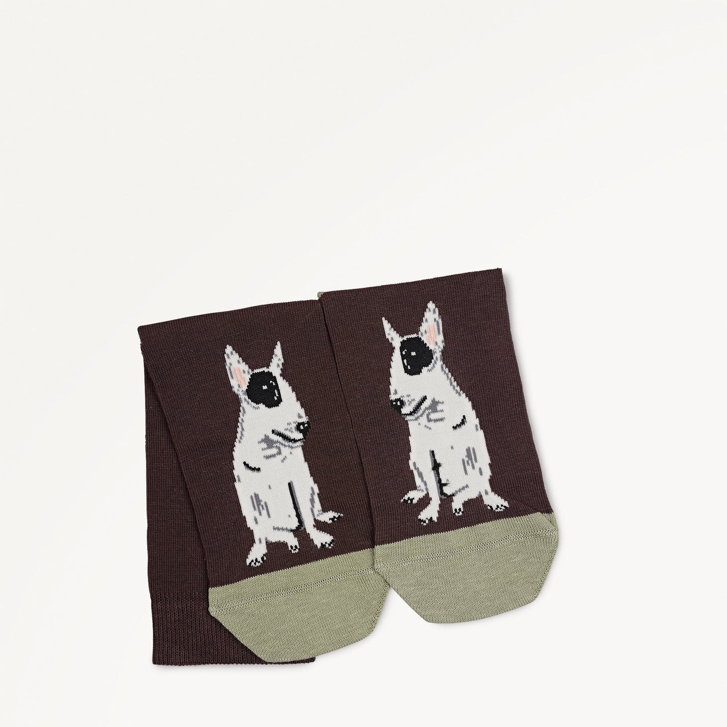 Radley London Dark Cocoa 1 Pack Socks