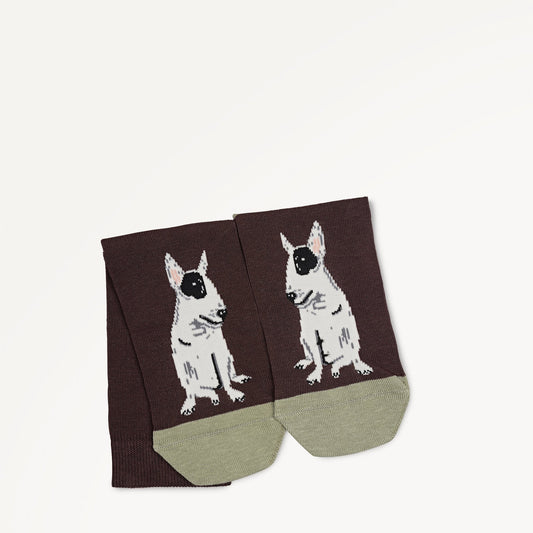Radley London Dark Cocoa 1 Pack Socks