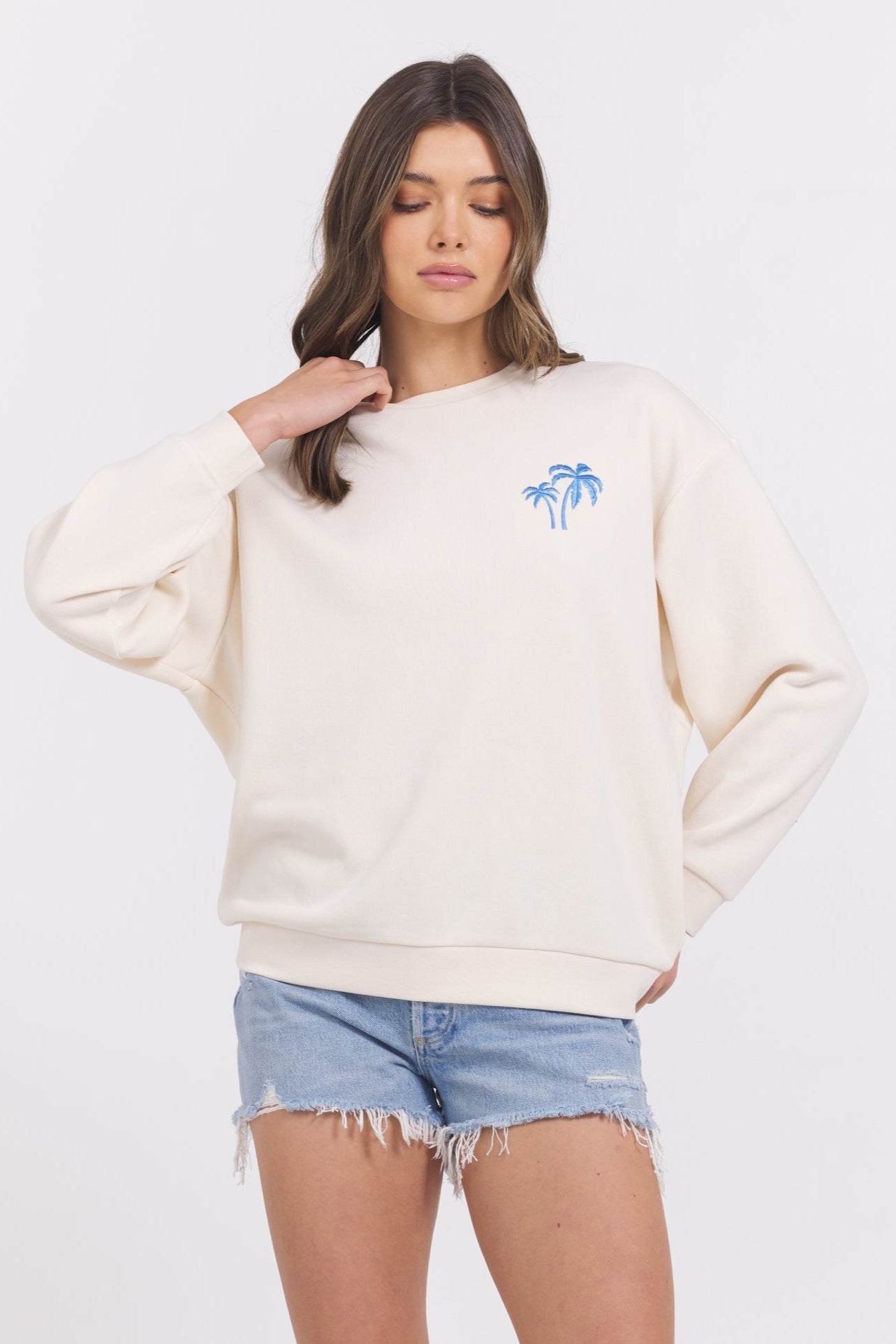 Coconut/ Hightide Vintage Havana SURF WASH EMBROIDERED CREWNECK
