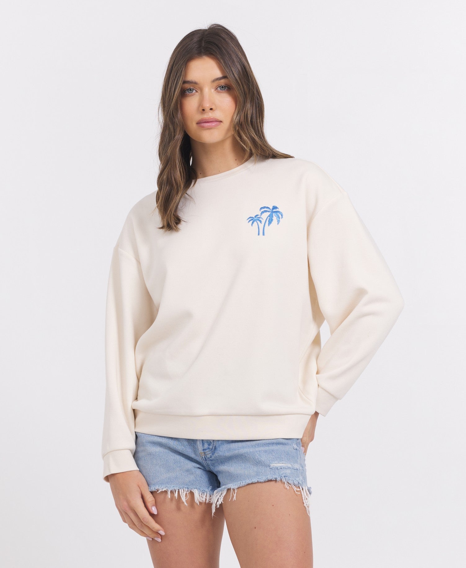 Coconut/ Hightide Vintage Havana SURF WASH EMBROIDERED CREWNECK