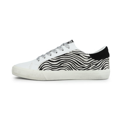 Black Zebra Vintage Havana GRANDE - BLACK ZEBRA