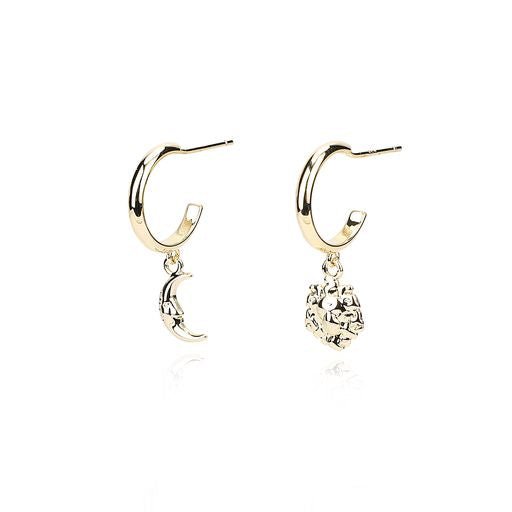 Vintage Havana HARMONY EARRINGS