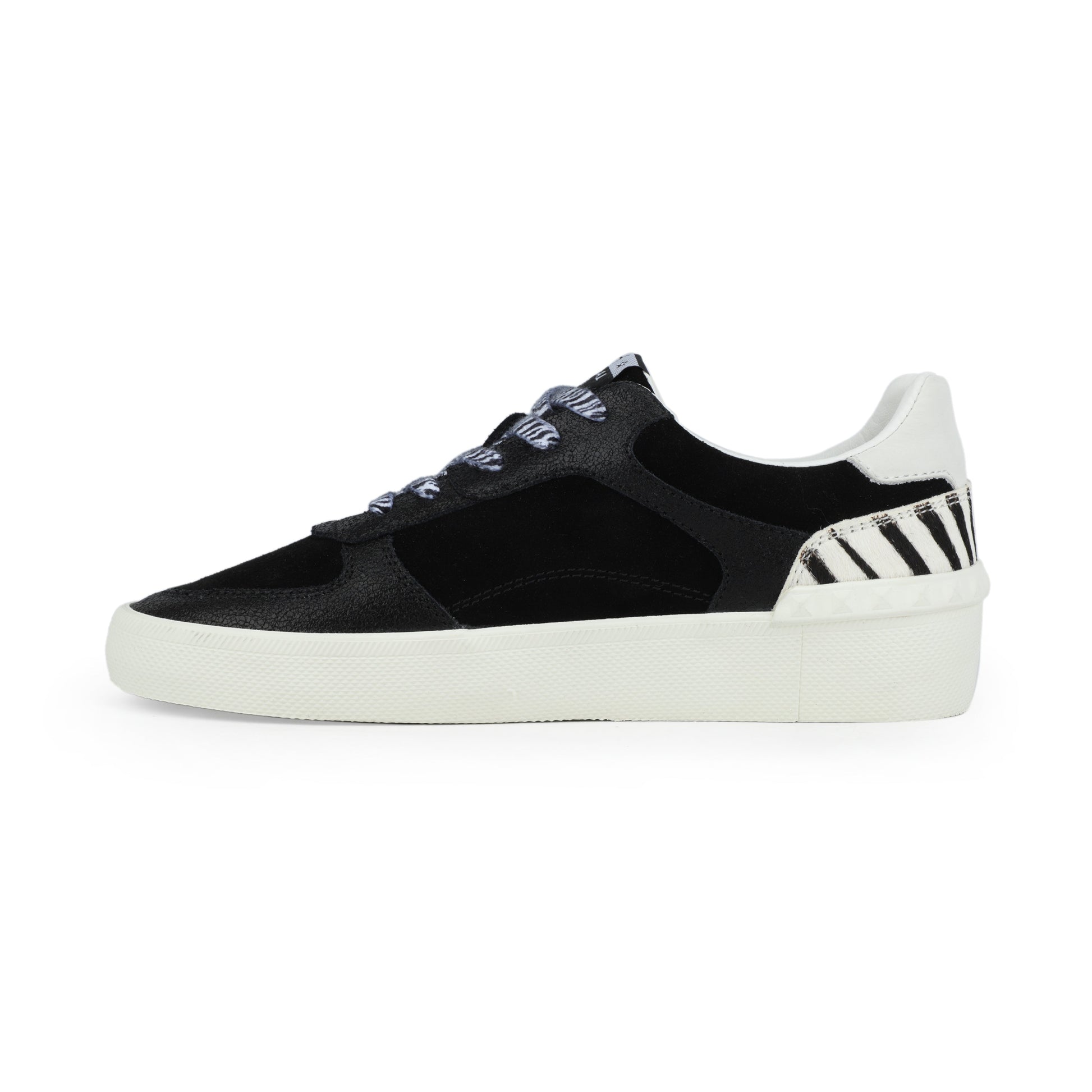 BLACK ZEBRA Vintage Havana TEMPO - BLACK ZEBRA