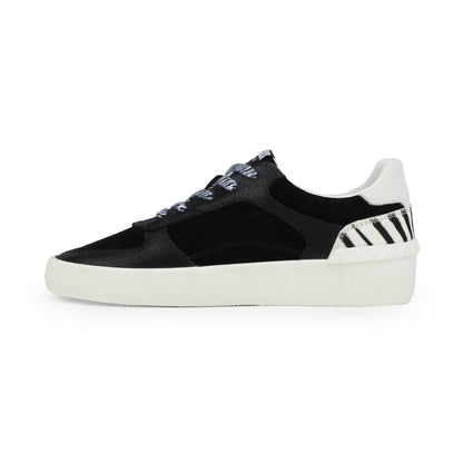 BLACK ZEBRA Vintage Havana TEMPO - BLACK ZEBRA